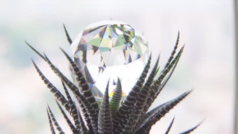 Slow-Motion-Macro-Parallax-Pan-of-a-Crystal-on-a-Succulent
