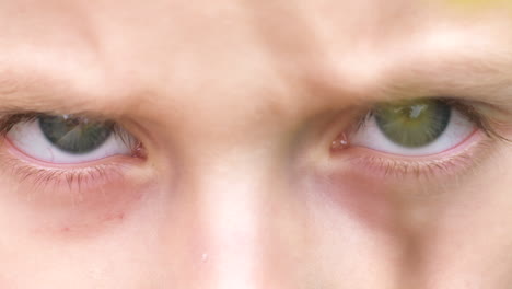 Blick-Durch-Die-Äste-Auf-Die-Blauen-Augen-Eines-Stirnrunzelnden-Kleinen-Jungen