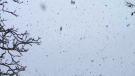 SLOW-MOTION:-Snow-falling-heavily-from-the-sky-at-dawn