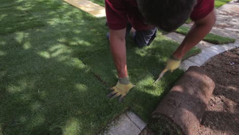 a-worker-cuts-the-roll-sod-with-a-knife