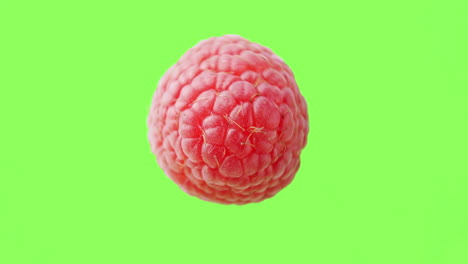 A-raspberry-rotating-clockwise-in-the-air-before-a-green-background