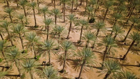 Schöne-Luftaufnahme-Der-Arava-wüste-In-Israel-Mit-Blick-Auf-Landwirtschaftsfelder-03