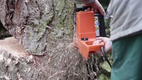 Caucasian-man-without-gloves-working-with-an-electric-chainsaw-on-a-huge-tree
