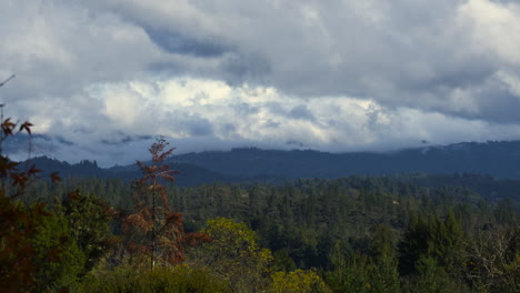 Panning-Timelapse-of-Clouds-Roiling-in-Forested-Valley