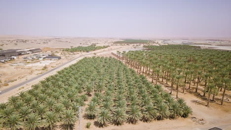 Luftaufnahme-Der-Arava-Wüste-In-Israel-Mit-Blick-Auf-Landwirtschaftliche-Felder---Rückzug