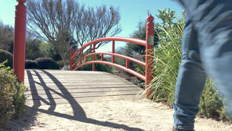 Hombre-Parado-En-El-Puente-Rojo-Mira-Hacia-El-Estanque,-Ju-Raku-En-Jardín-Japonés,-Toowoomba,-Australia