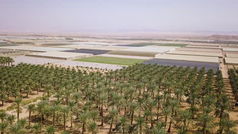 Schöne-Luftaufnahme-Der-Arava-wüste-In-Israel-Mit-Blick-Auf-Landwirtschaftsfelder