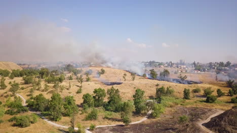 Aerial-Shot-of-Forest-Fire-Accident-in-Northern-Israel-During-the-Summer-07