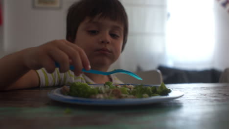 Nahaufnahmen-Eines-Kindes,-Das-Zu-Hause-Rindfleischburger-Und-Brokkoli-Isst