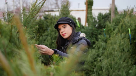 Una-Mujer-Joven-Comprando-En-Un-Lote-Festivo-De-Decoración-De-árboles-De-Navidad-En-La-Temporada-De-Vacaciones-De-Invierno
