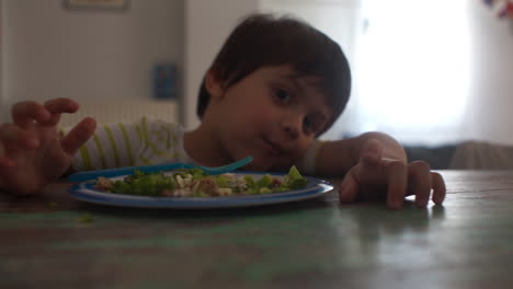 CLOSEUP-Footage-of-a-kid-having-meal-of-Beef-burgers-and-broccoli-at-home