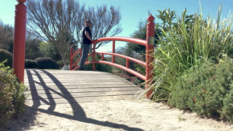 Man-walking-on-gravel-pathway-leading-to-red-bridge-and-looks-over-pond,-Ju-Raku-En-Japanese-Garden,-Toowoomba,-Australia