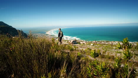 Man-hiking-on-top-of-mountain,-native-fynbos-vegetation-in-foreground-and-long-beach-along-coastline-in-background