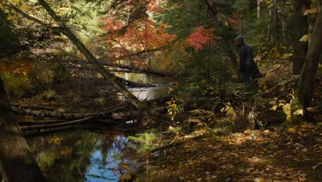 Standing-in-Calm-Autumn-Forest,-Young-Man-looks-at-Blue-Creek-Handheld