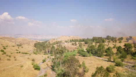 Luftaufnahme-Eines-Waldbrandunfalls-Im-Norden-Israels-Im-Sommer-02