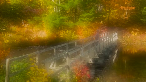 Man-Walks-on-Wood-Bridge-in-Colorful-Fall-Leaves,-Dreamy-Handheld-Tracking-Wide