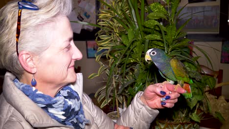 Mature-woman-talking-to-her-pionus-parrot---close,-tight-shot