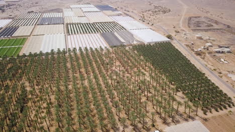 Extreme-Weite-Aufnahme-Der-Arava-wüste-In-Israel-Mit-Blick-Auf-Landwirtschaftsfelder-03