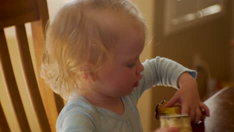 Entzückendes-Zweijähriges-Mädchen,-Das-Mit-Ihrem-Spielzeug-Am-Küchentisch-Spielt---Nahaufnahme