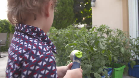 Kleinkind-Junge-Bewässerung-Tomatenpflanzen-In-Einem-Gemüsegarten-Im-Hinterhof