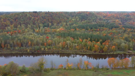 Herbstliche-Landschaftsansicht-Des-Gauja-Flusses-Durch-Wälder-Bunte-Leuchtend-Gelbe-Orange-Und-Grüne-Bäume,-Sonniger-Tag