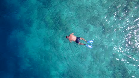 Man-snorkel-on-clear-crystal-water-of-blue-turquoise-sea,-watching-groups-of-tropical-fish-living-through-stones-and-corals-on-sea-bottom