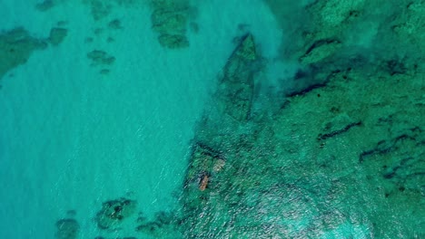 Spectacular-scenic-view-directly-above-Samana-wreck-dive-site-in-turquoise-transparent-ocean-sea-water-by-tropical-island-of-Barco-Hundido-Las-Galeras,-Dominican-Republic,-overhead-rising-aerial