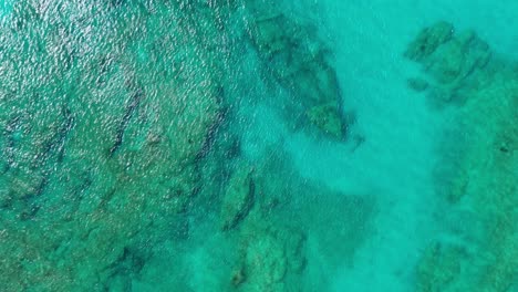 Sensational-establishing-scenic-view-directly-above-Samana-wreck-dive-site-in-turquoise-transparent-ocean-sea-water-by-tropical-island-of-Barco-Hundido-Las-Galeras,-Dominican-Republic,-aerial-approach