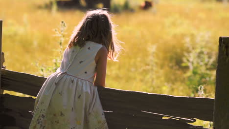 A-little-girl-looks-out-over-a-farm-field-in-the-early-evening-light
