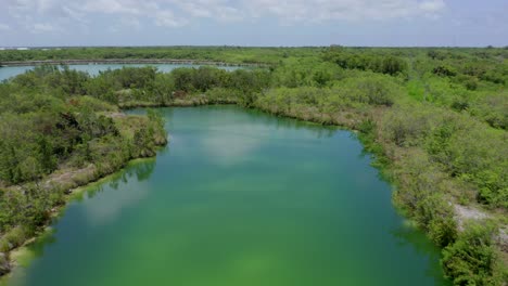 Majestic-flight-above-Cap-Cana-calm-green-lagoon-by-tree-forest-and-vegetation-on-blue-sunny-sky-day,-Dominican-Republic,-overhead-aerial-approach