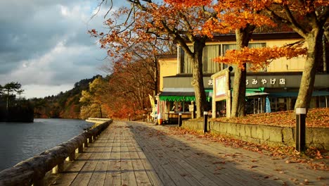 Goldenes-Licht-Auf-Einem-Gehweg-In-Japan-An-Einem-See-Mit-Fallenden-Gelesenen-Herbstblättern