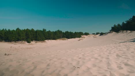 Sand-dunes-next-to-forest-with-blue-sky