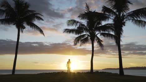Tourist-Zu-Fuß-In-Richtung-Sonnenuntergang-Am-Tropischen-Ufer-Mit-Silhouette-Kokospalmen