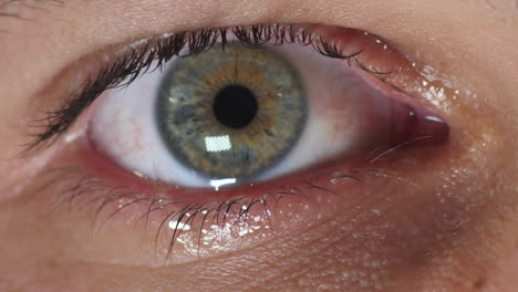 Extreme-Close-Up-of-a-Sad-Hazel---Green---Blue-Eyeball-Looking-Directly-to-Camera-Crying-Tears-and-Blinking-Multiple-Times