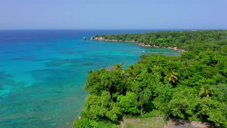 Spectacular-Drone-Aerial-Flyover-of-Magnificent-Clear-Blue-Atlantic-Ocean-Waters-and-Tropical-Green-Trees-at-Playa-Preciosa-Beach,-Dominican-Republic