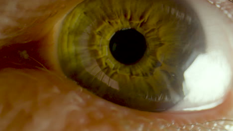 Extreme-close-up-of-a-green-human-eye