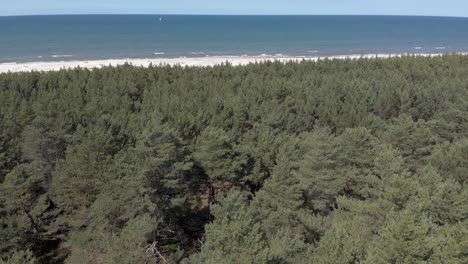 Aerial-view-of-forest-at-shore-of-Baltic-Sea
