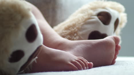 Closeup-of-baby-feet-sleeping-and-moving-between-paws-of-plush-animal