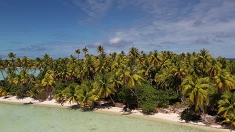 Wunderschöne-Luftdrohnenaufnahme-Einer-Wunderschönen-Kleinen-Insel-In-Der-Tropischen-Lagune-Von-Fakarava