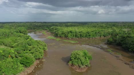 This-is-how-tropical-forests-look-on-a-rainy-day,-shot-with-a-drone,-green-vegetation,-cloudy-sky,-shot-from-the-air