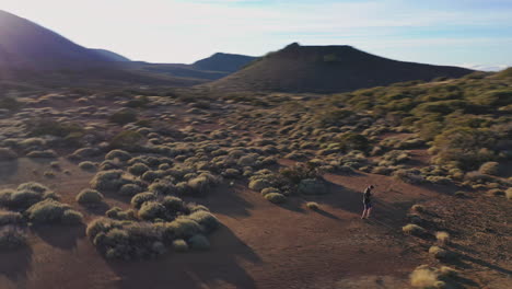 Guy-taking-a-drone-shot-of-himself,walking-through-bushes-on-a-plain-below-mount-Teide,Spain