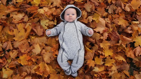 Neugeborenes-Baby-Spielt-Mit-Blättern-Auf-Herbstlaub