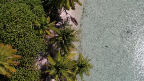 Aerial-drone-shot-of-a-beautiful-little-island-in-the-tropical-lagoon-of-Fakarava