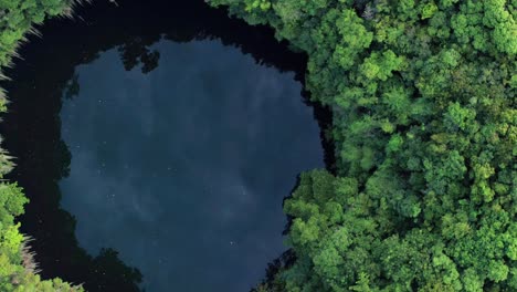 Aerial-shot-with-a-drone,-spiraling-upwards-in-Los-Tres-Ojos-cave-in-Mirador-del-Este-park,-Santo-Domingo-Este,-Dominican-Republic,-where-we-see-the-great-vegetation
