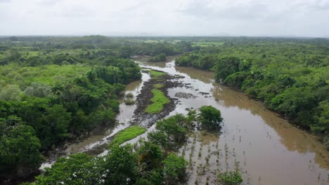 Luftbild-Nach-Vorne-über-Sumpf-In-Feuchtgebieten,-Dominikanische-Republik