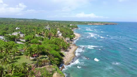 Impressive-tour-over-the-najayo-beach-in-the-south-of-the-Dominican-Republic,-waves-and-beautiful-vegetation,-taken-with-drone