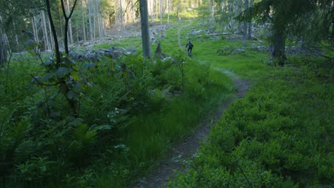 Mountain-biker-passes-on-a-trail-at-high-speed-through-a-forest-clearing