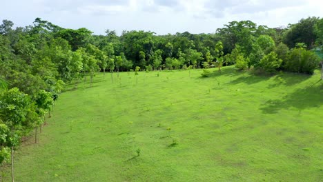 Flight-over-green-grassland-in-Dominican-Republic