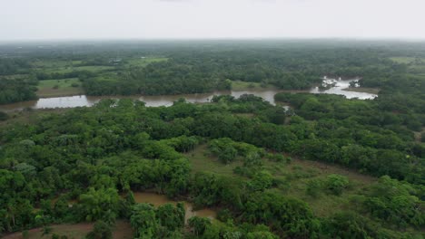 View-of-wetlands-in-Dominican-Republic.-Aerial-orbit