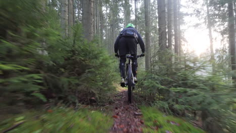 Male-Riding-Bike-on-Wild-Forest-Path-on-Foggy-Day-Low-Angle-Slow-Motion-Tracking-Shot